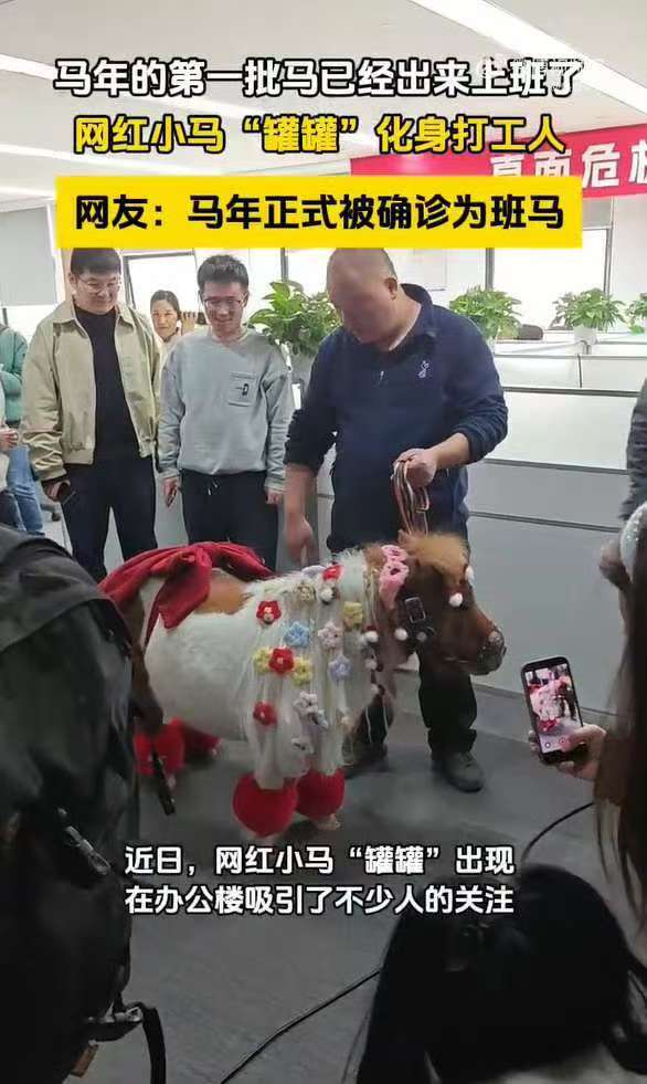 马年的第一批马已经出来上班了 工位顶流驾到！罐罐小马化身马年代言人，颜值暴击+好