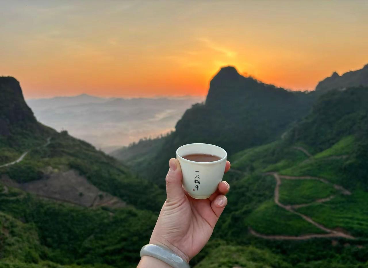 登高望远，举杯敬山河。迎着山间日出，饮一杯清茶。世间万般纷扰，都消散在层叠山峦之