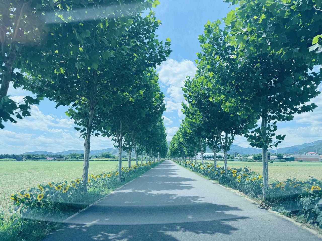 车牌识别技术已经非常成熟了，成熟到你在高速公路上行驶都能拍到拍照，成熟到很小的小