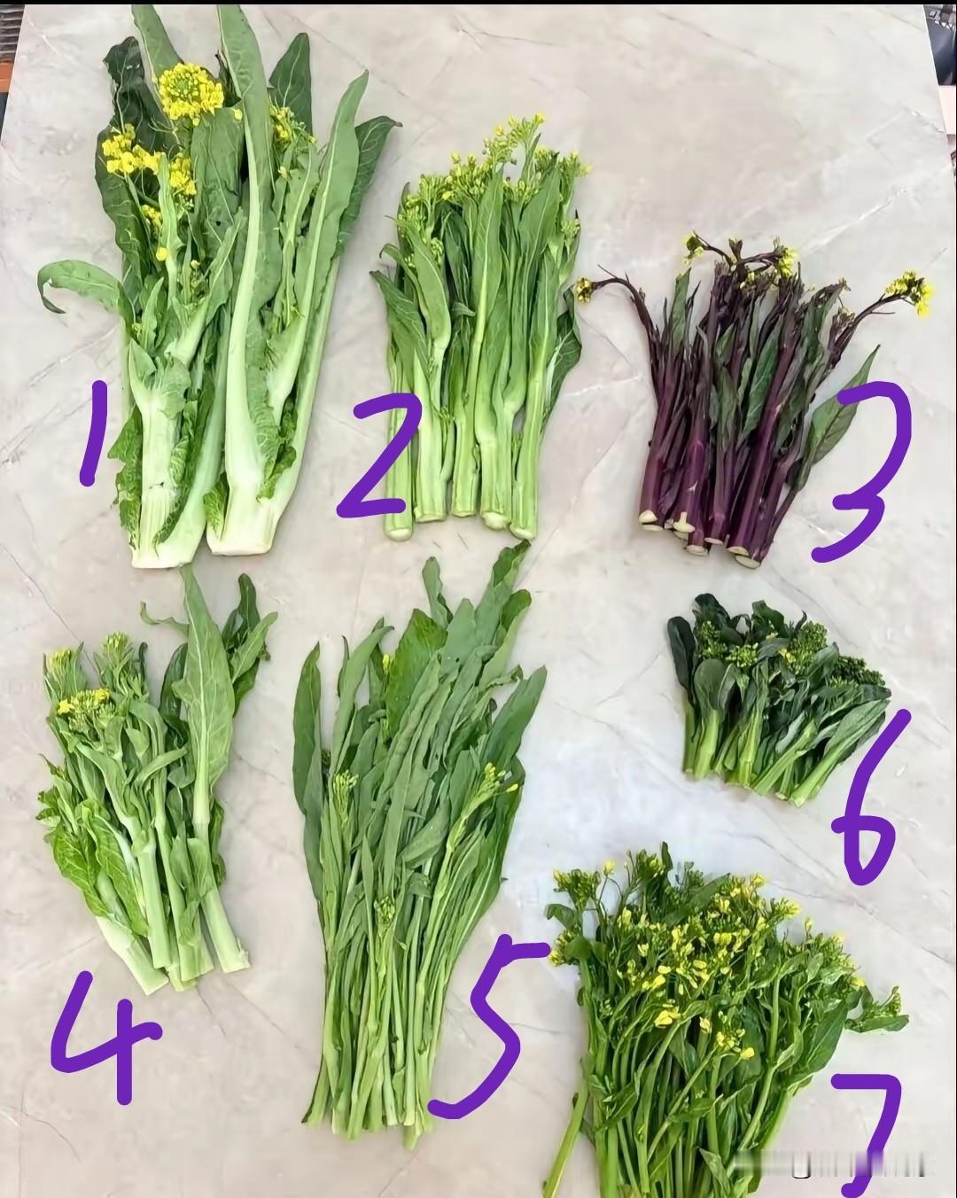 来来来！认识3种就算你赢！四川的朋友来看看这7堆菜都是什么菜？都叫什么名字呢？