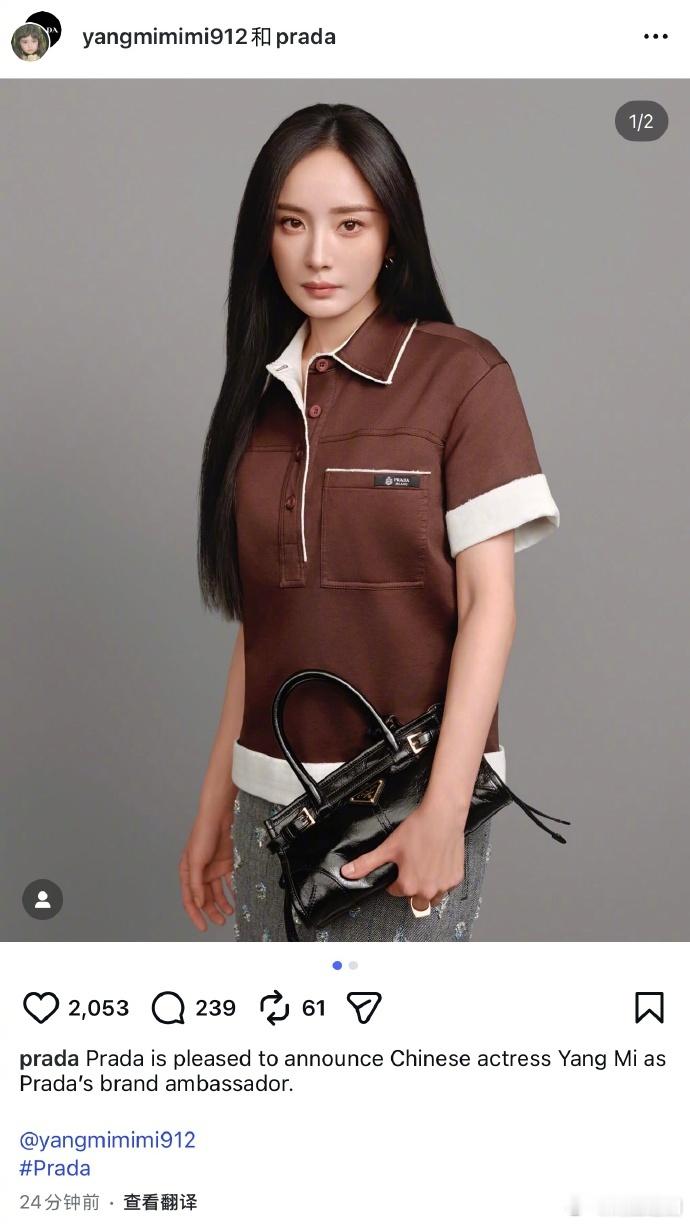 85花人手一个奢品成衣代言，没有遗漏吧？杨幂Prada刘亦菲LV辛芷蕾Chane