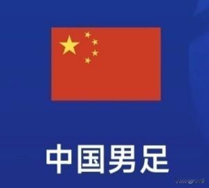 社会不断向前发展，时代持续更迭进步，唯独中国足球始终徘徊不前，数十年的努力打拼，