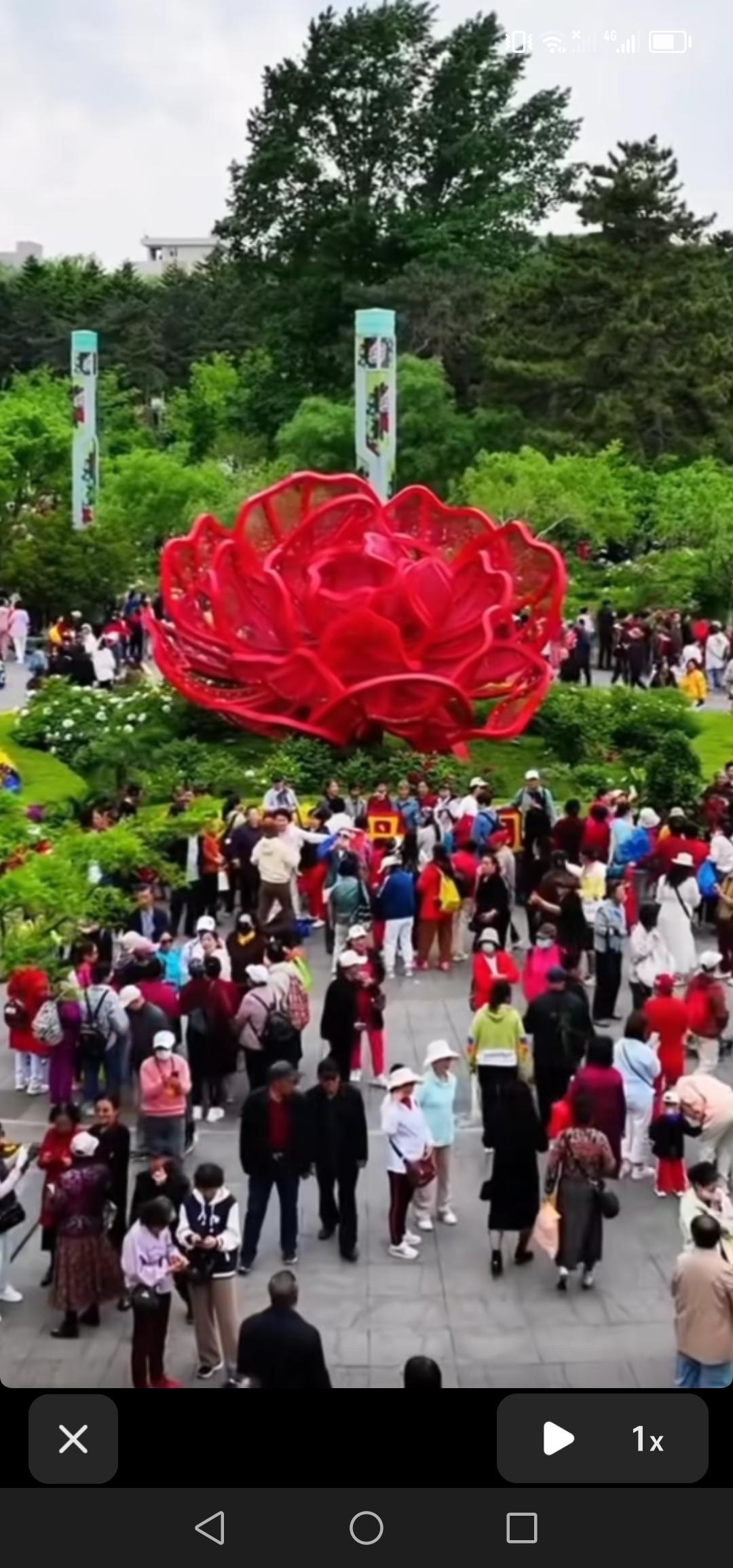 长春市牡丹园正值繁花似锦之时，大批游客纷至沓来，园内热闹非凡！

提及我国国花，