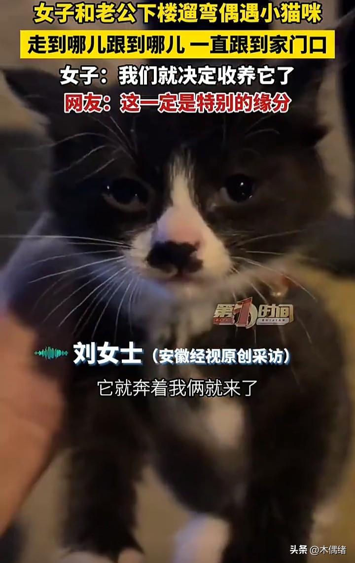 看得心里暖暖的！辽宁沈阳一名女子吃完晚饭后，和老公一起出门散步，没想到在路上遇到