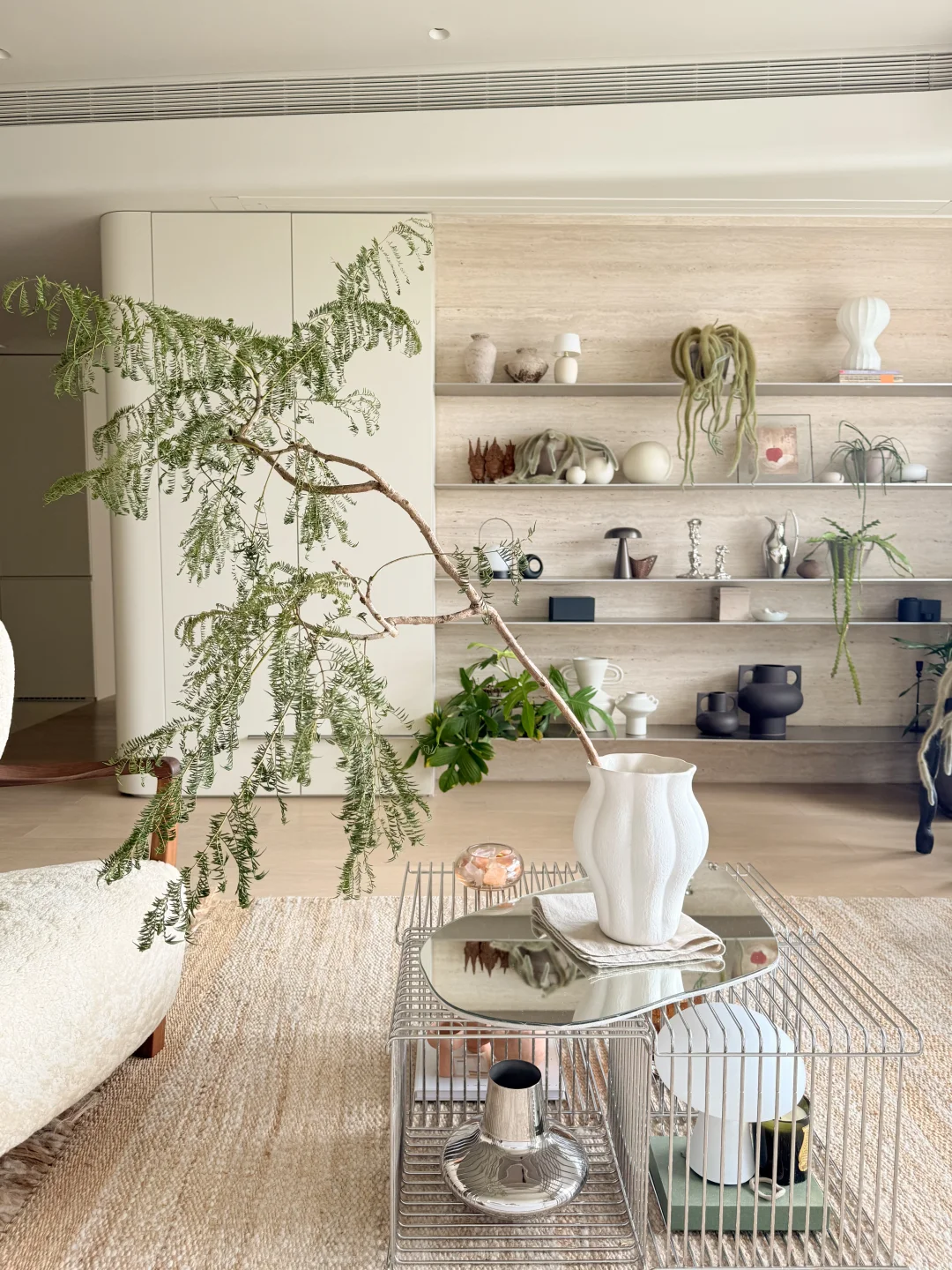 家的日常|台风天后捡了个枝丫回家🌿