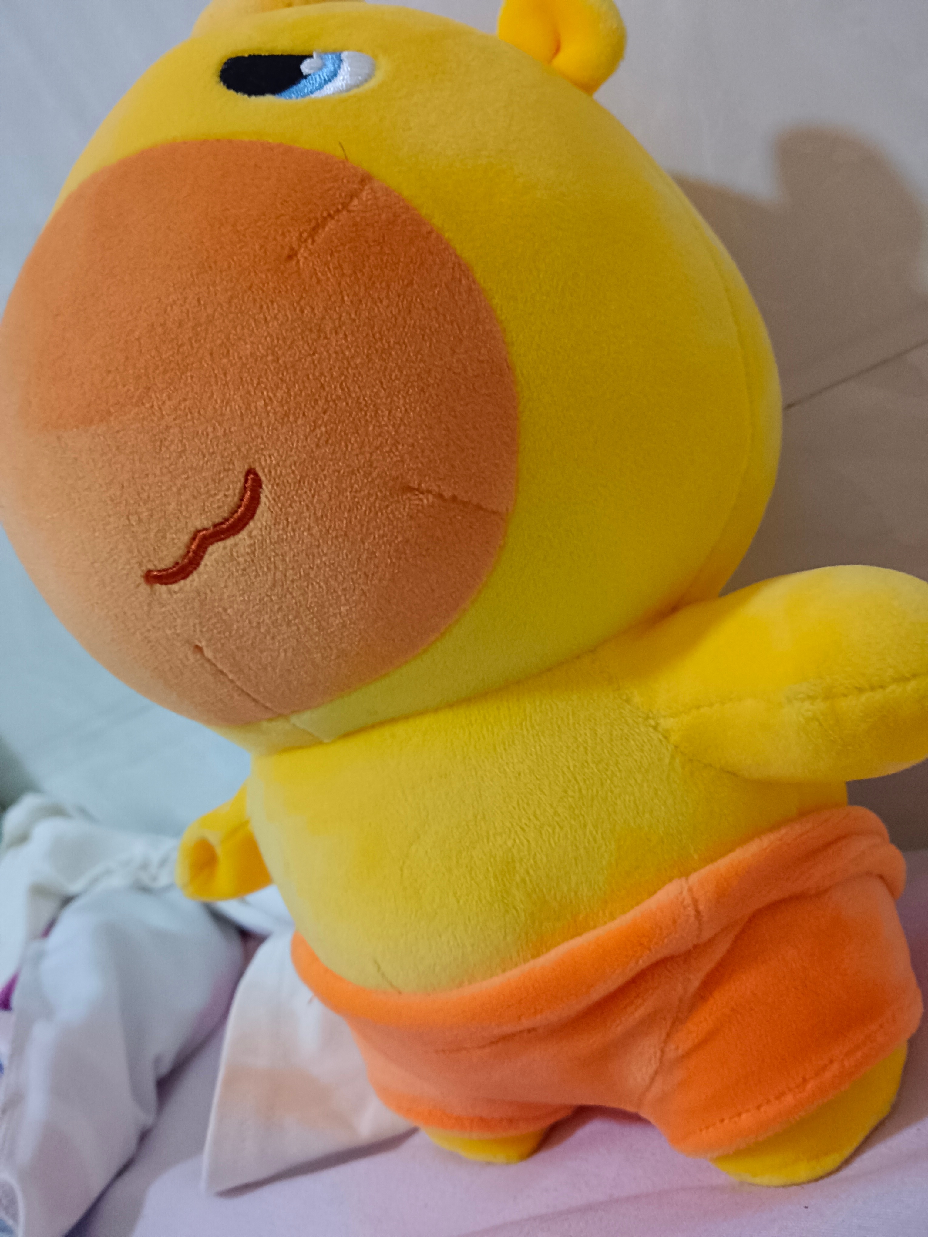 写真集。 