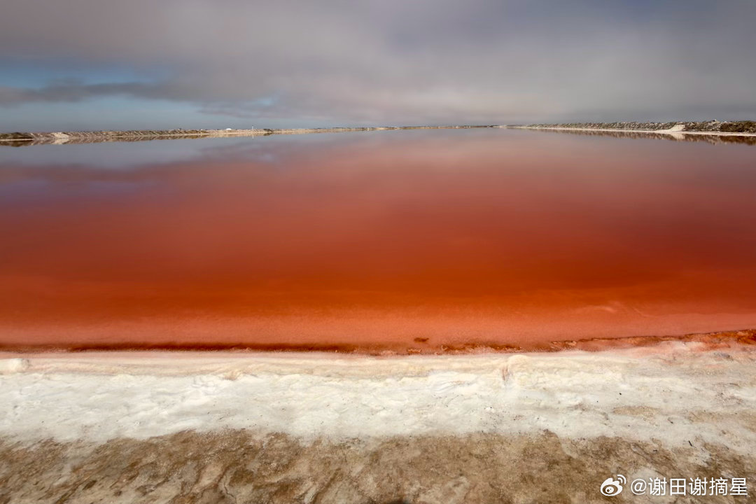 粉红湖，纳米比亚鲸鱼湾。在纳米比亚鲸鱼湾南部海岸，有一片令人难忘的粉红色湖泊。远