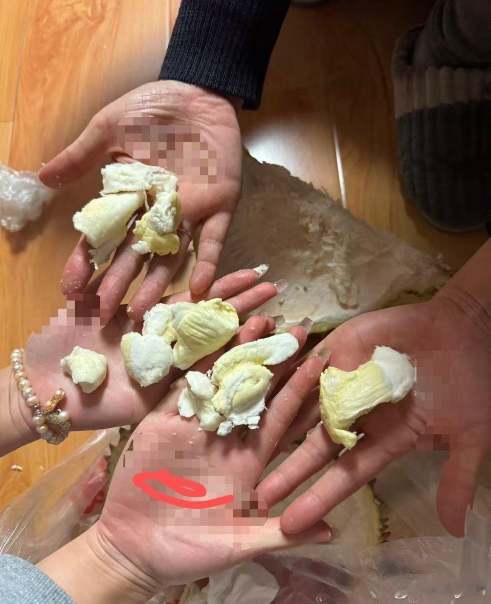 开榴莲开出三房榴莲糖隔壁看到的500米的榴莲就这？！好多小的，还找老板去了，老板
