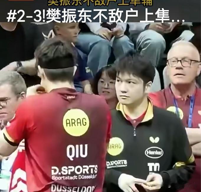 8月29日乒乓球德国杯1/8决赛，樊振东代表杜塞尔多夫俱乐部出战奥克森豪森。关键