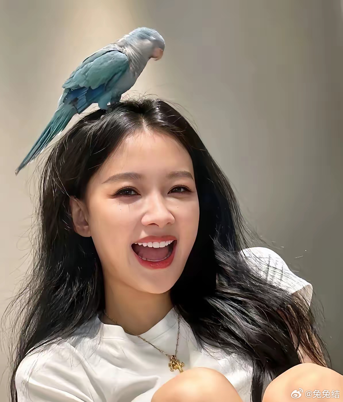 这下出名了， 不仅浙江，全国人民都知道了， 孙怡在节目里连烧水、用洗衣机都不会，