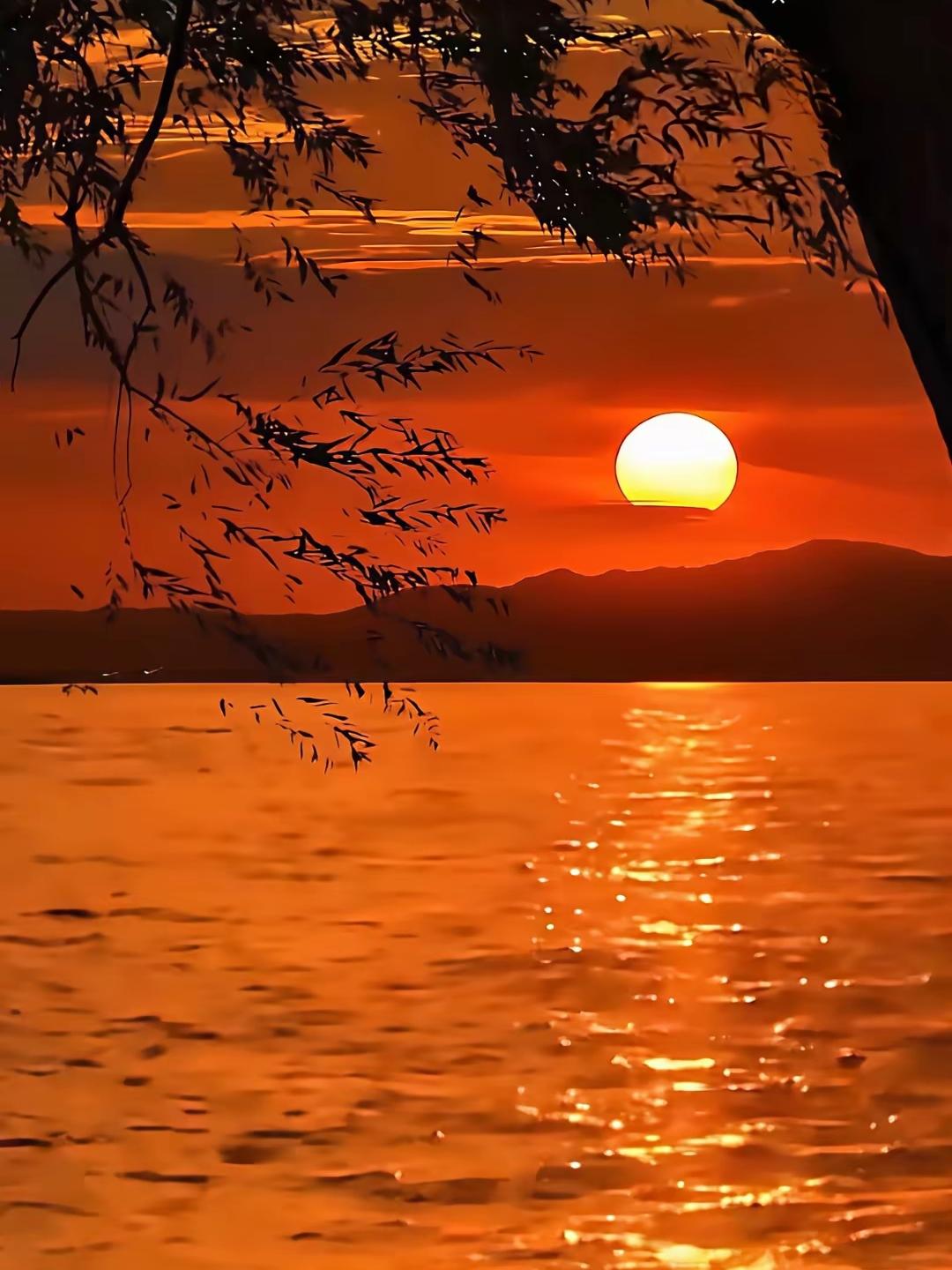 生命的本质是什么？
从科学角度来看，生命的本质是能够进行自我复制、新陈代谢，并对