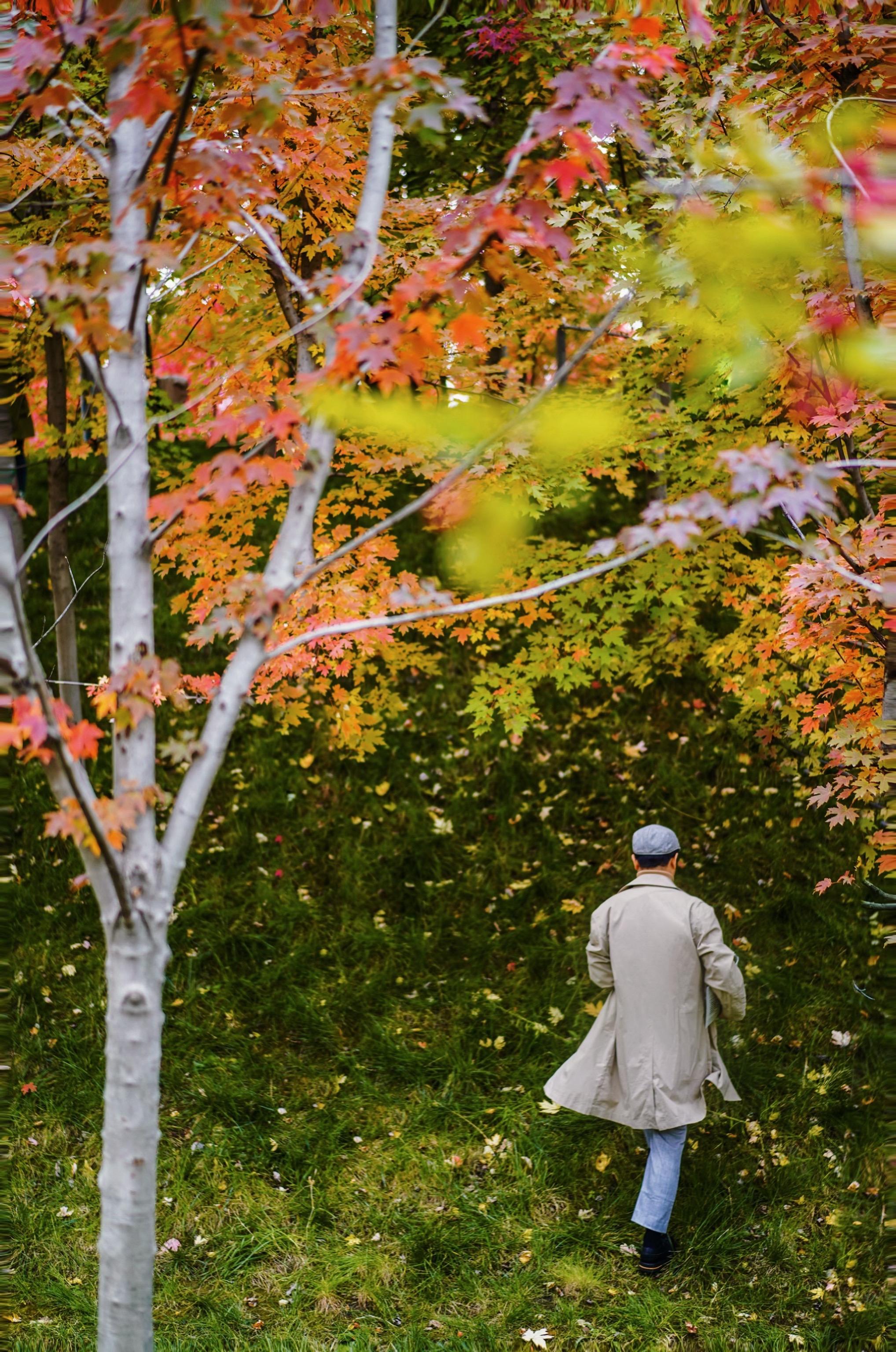 秋天氛围感人像大片来袭🚶教你如何轻松出片❗️。又到了一年中蕞适合拍人...