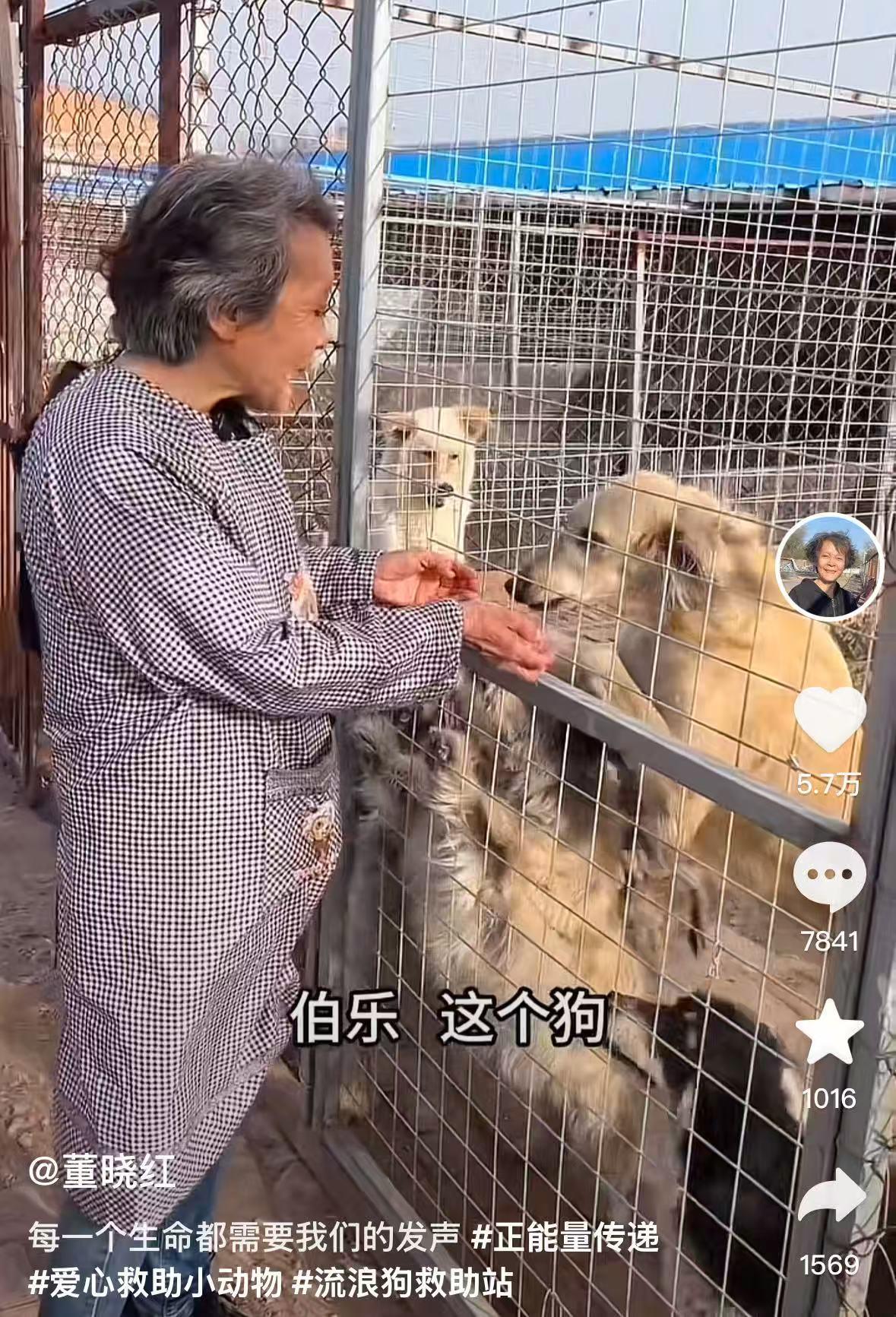 爱心人士董晓红遭遇车祸离世：生前救助300余只流浪狗，各地网友驱车前往现场告别