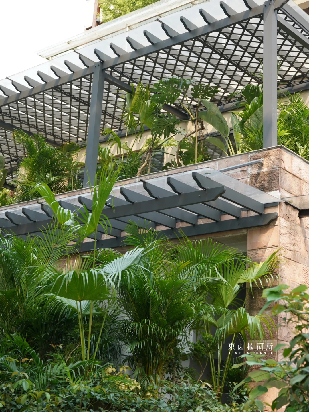 私宅绿植|绿意环绕🌴打造阳台绿植空间