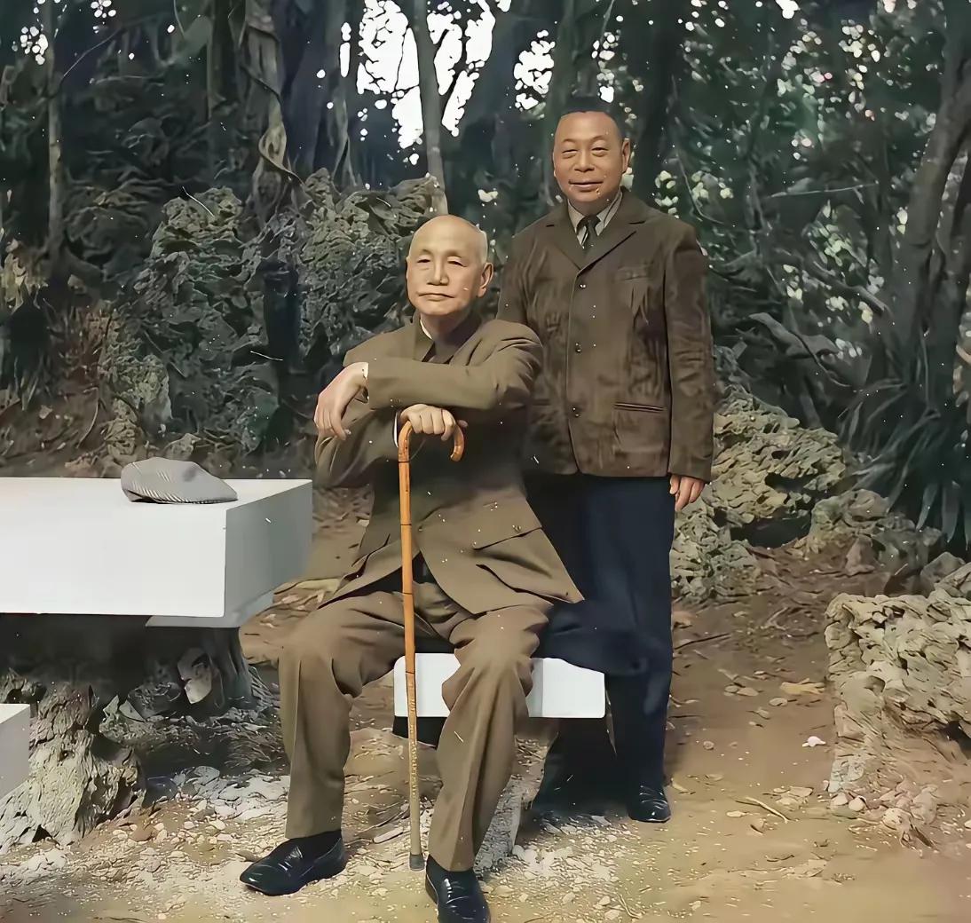蒋介石乃民族罪人，内战罪魁，荼毒生灵，残暴屠杀迫害无数共产党人与进步人士。善权术