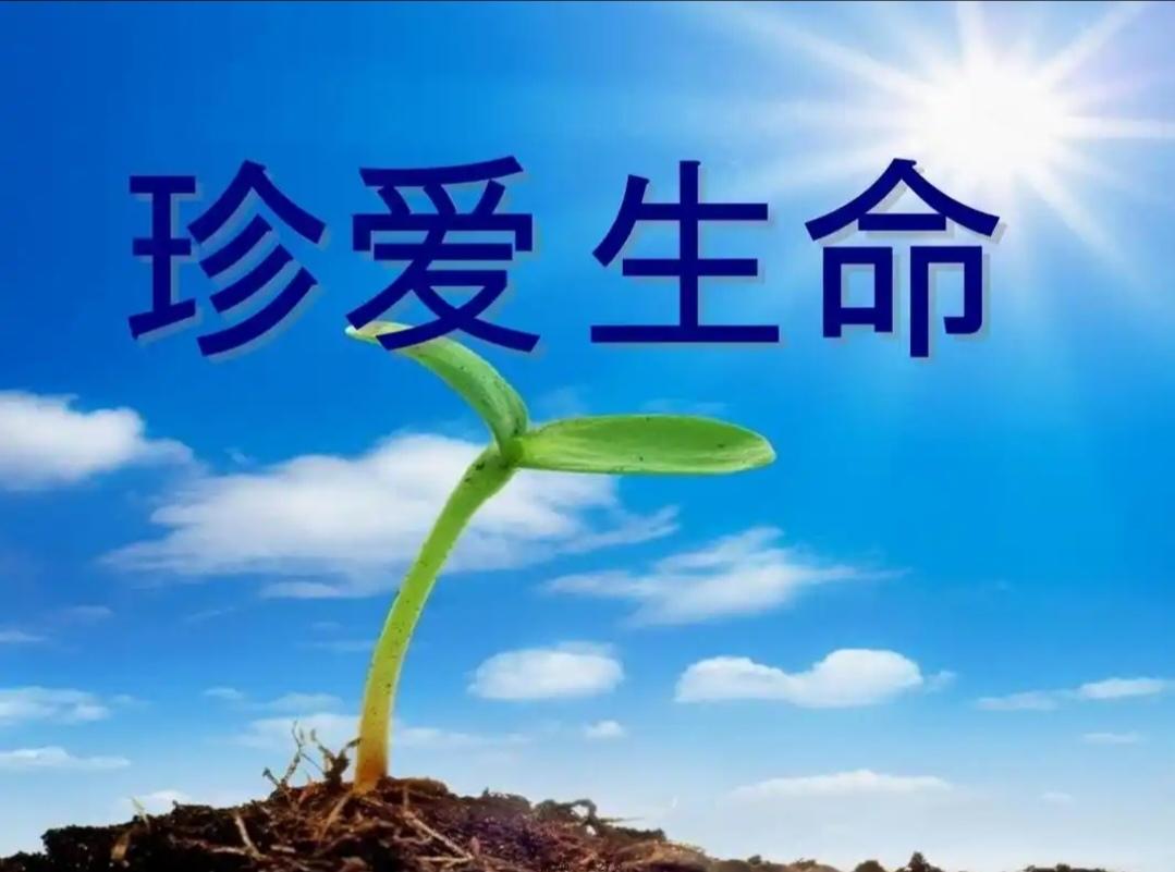 感悟人生

人生之途短暂，
几人活三万天？
咕咕地到老年。
日出日落一天，
春夏