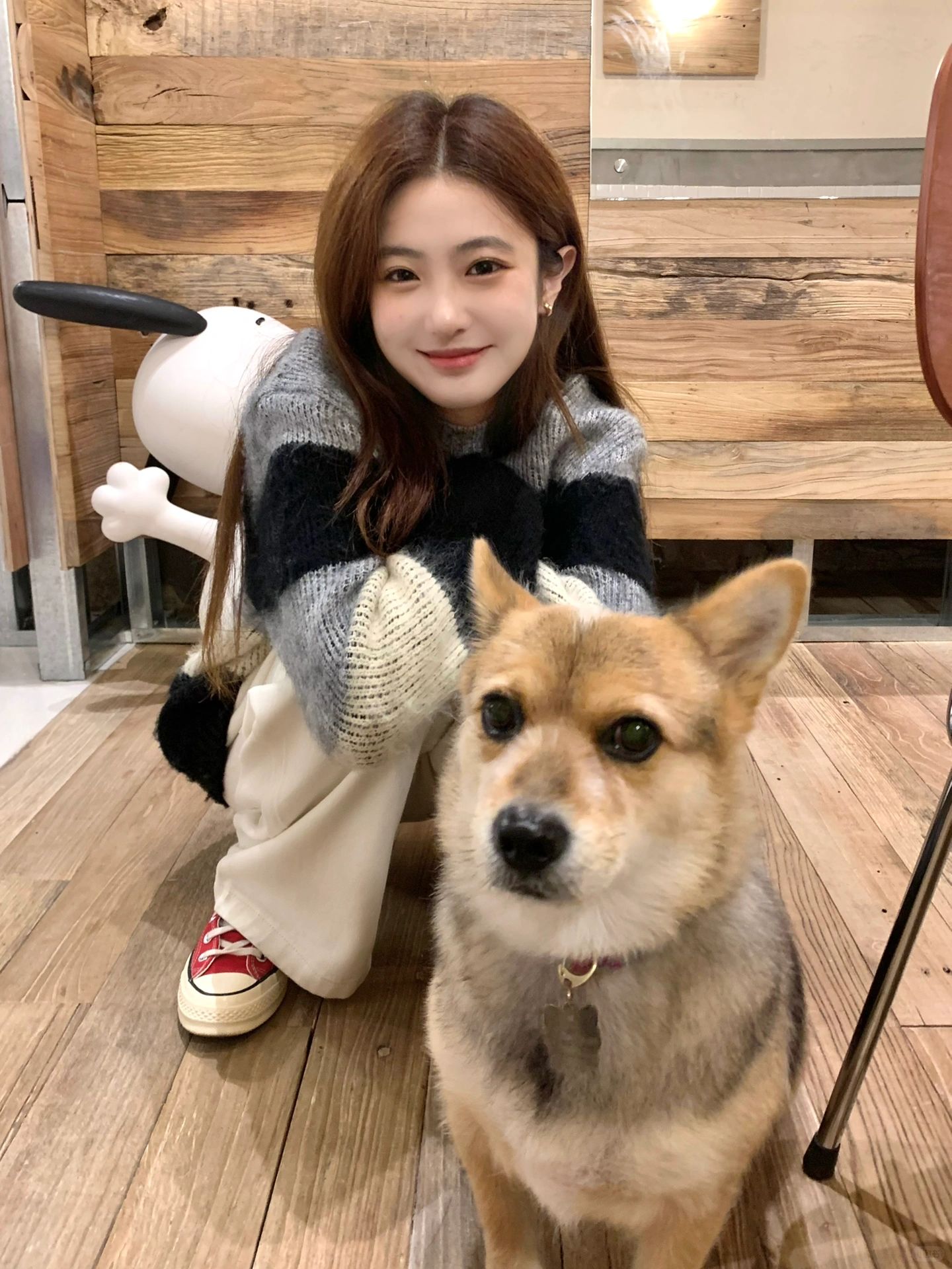 📔小狗日记ฅʕ •ᴥ•♡