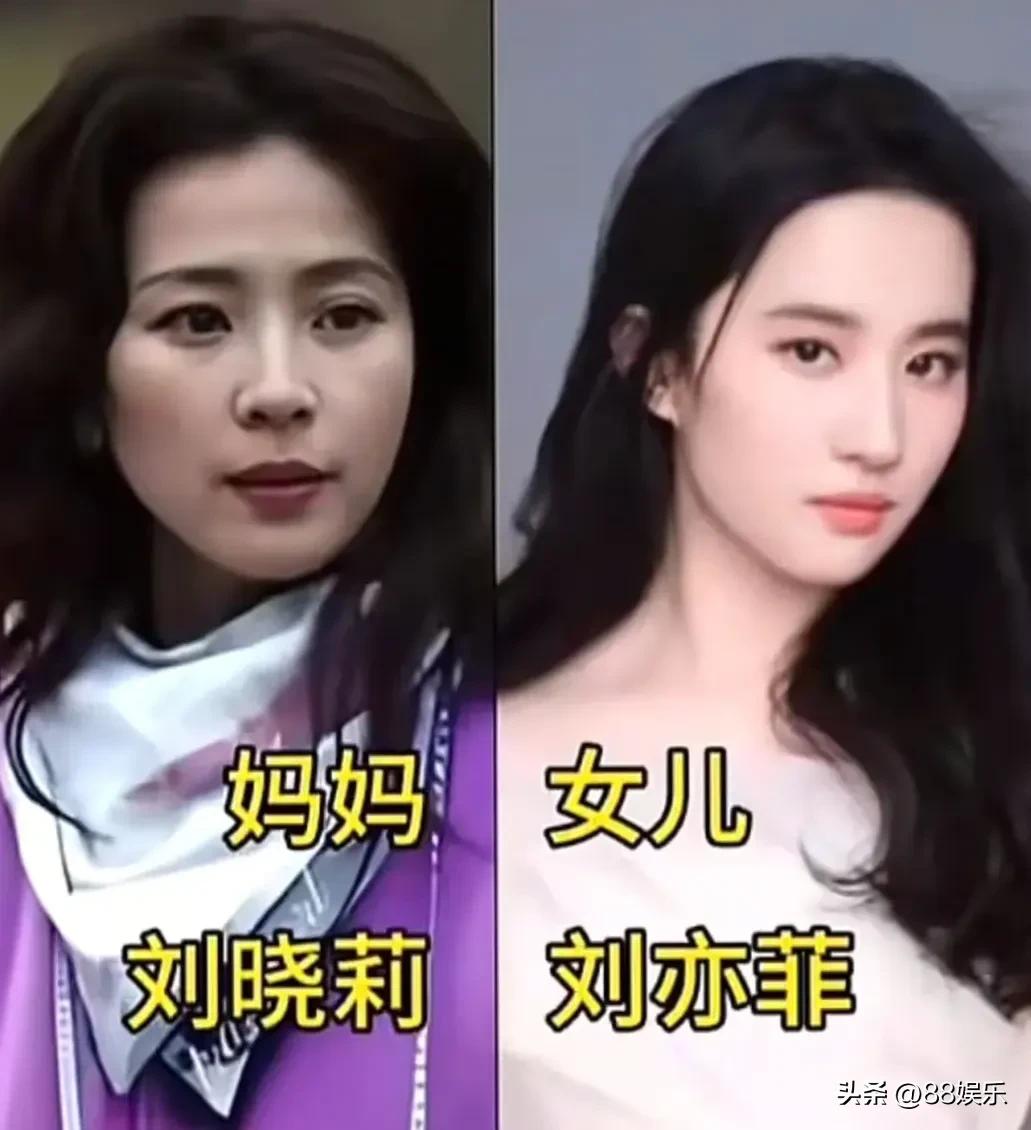 眉眼承血脉，风华代代传。
母亲历经岁月淬炼，沉淀出从容大气；女儿携着同款眉眼，带