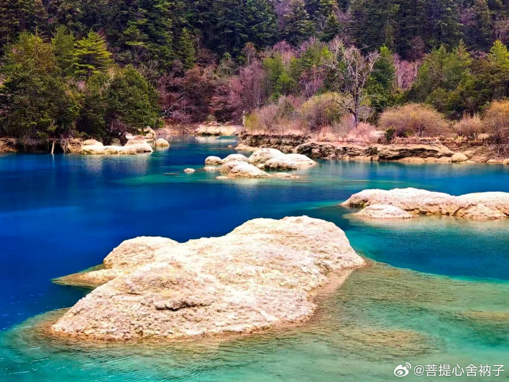 不执于相，方见慈悲。数字时代，一键善意亦可渡人。 
