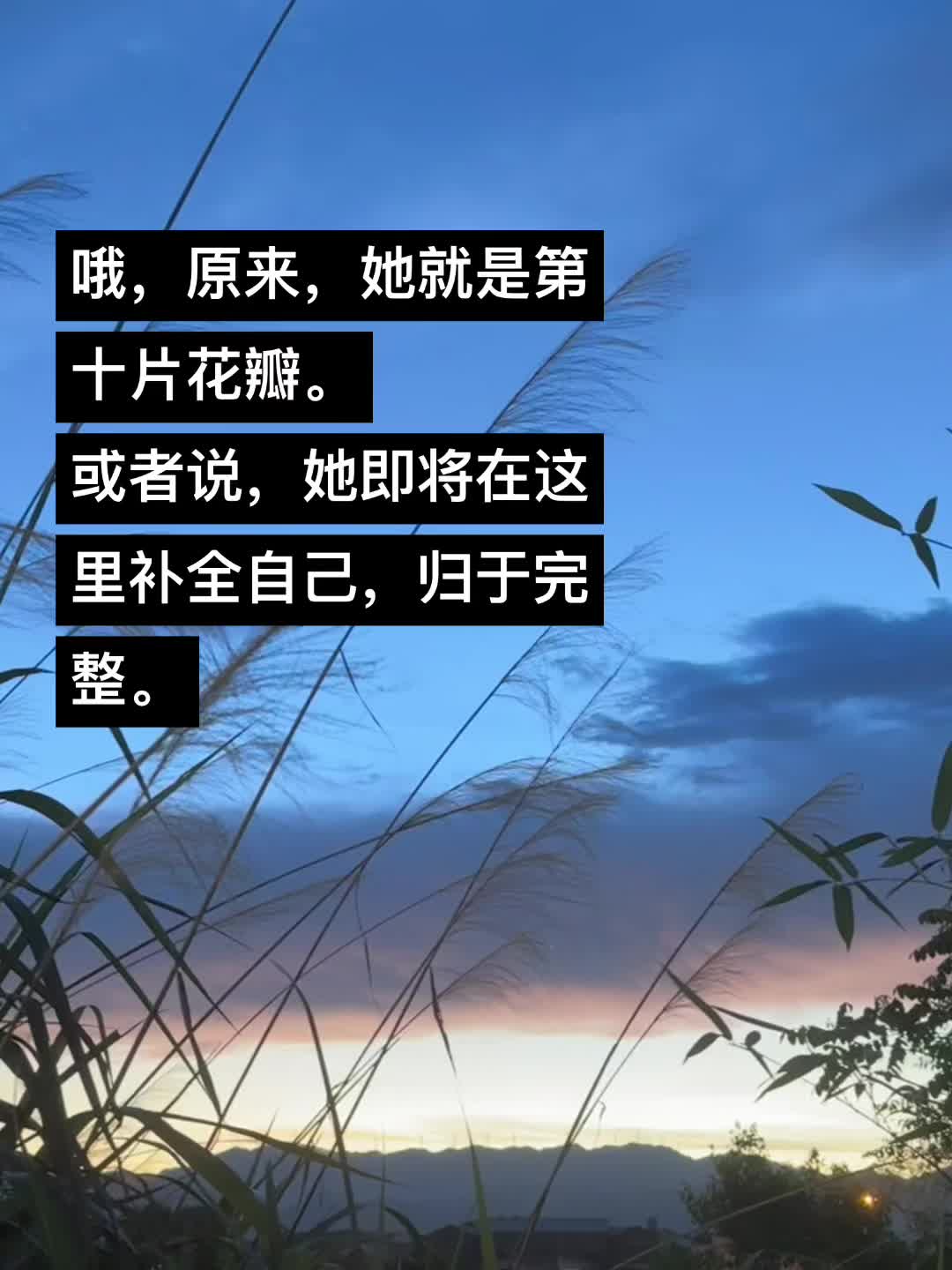 扶桑by鸣銮 新文完结1v1双c，古风灵异题材，有点聊斋➕唐诡内味儿了...