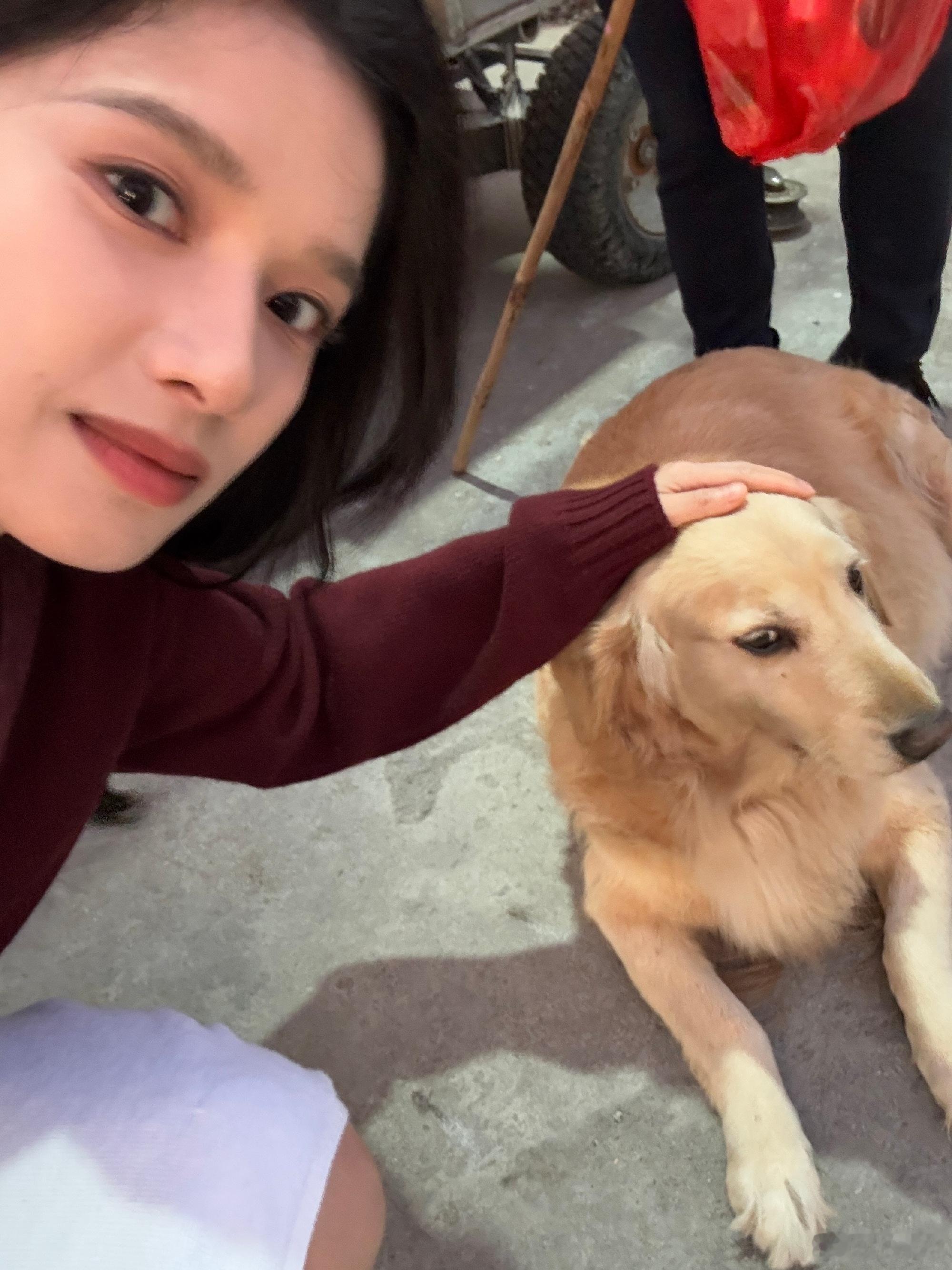 张婧仪 别乱说我没多大 看到粉丝说不被翻牌就不和妈妈和好，立马回复鼓励对方发信息