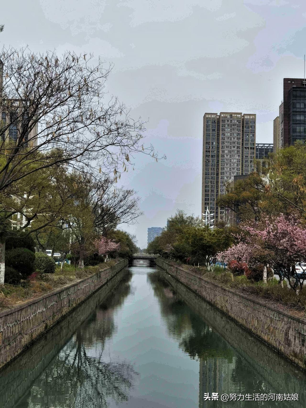 我的今日状态：💪🏻充满干劲
我这里的天气：下雨🌧
三月收尾，雨落人间。把三