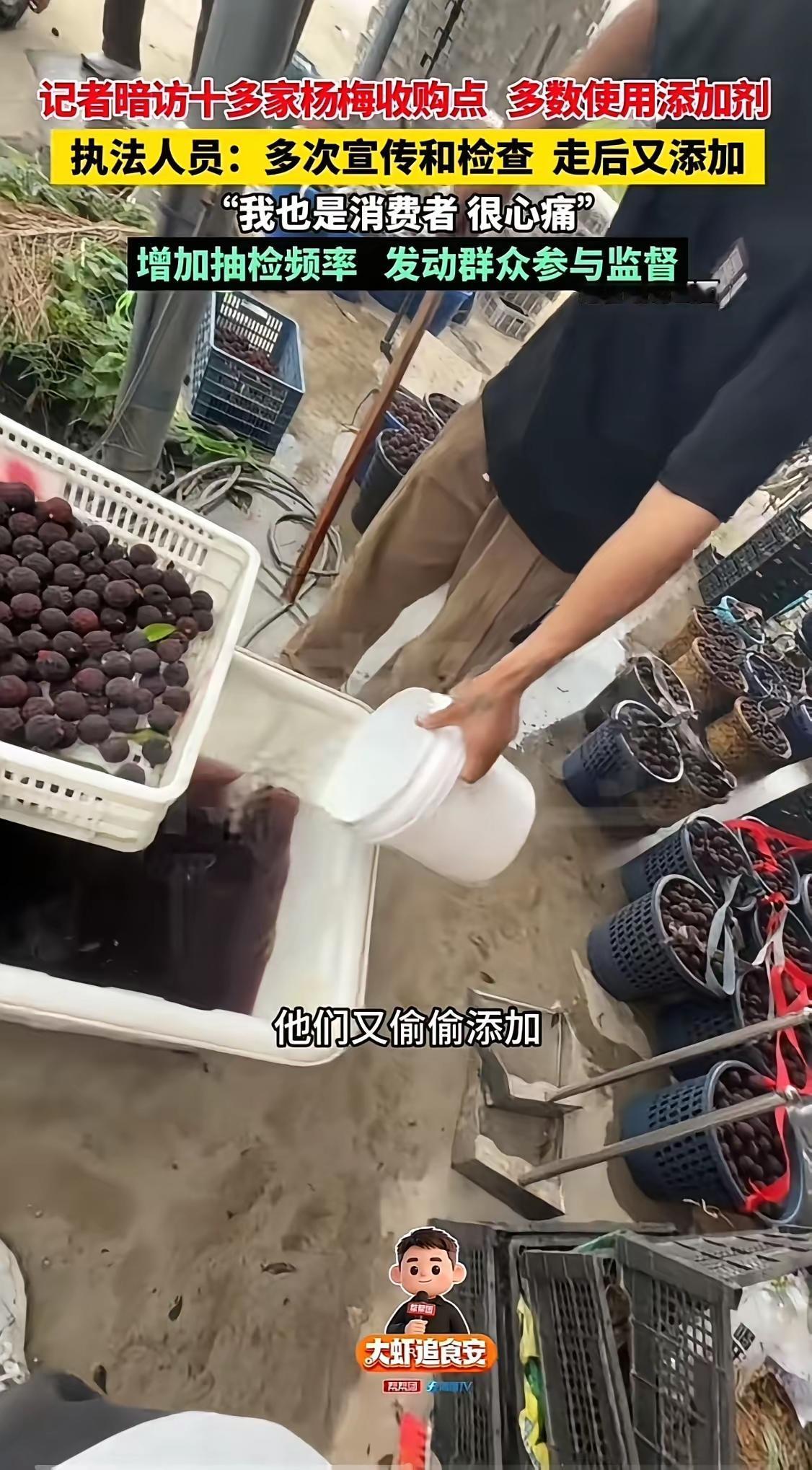 这几天，杨梅添加剂的新闻闹得很凶，其实，食品安全都是全民最关注的问题，可为什么一