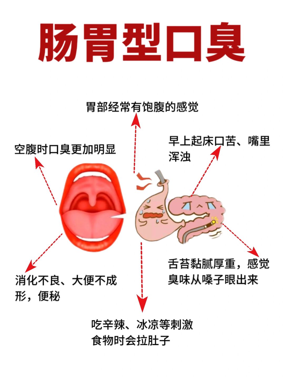 终于有人把肠胃型口臭说清楚了❗