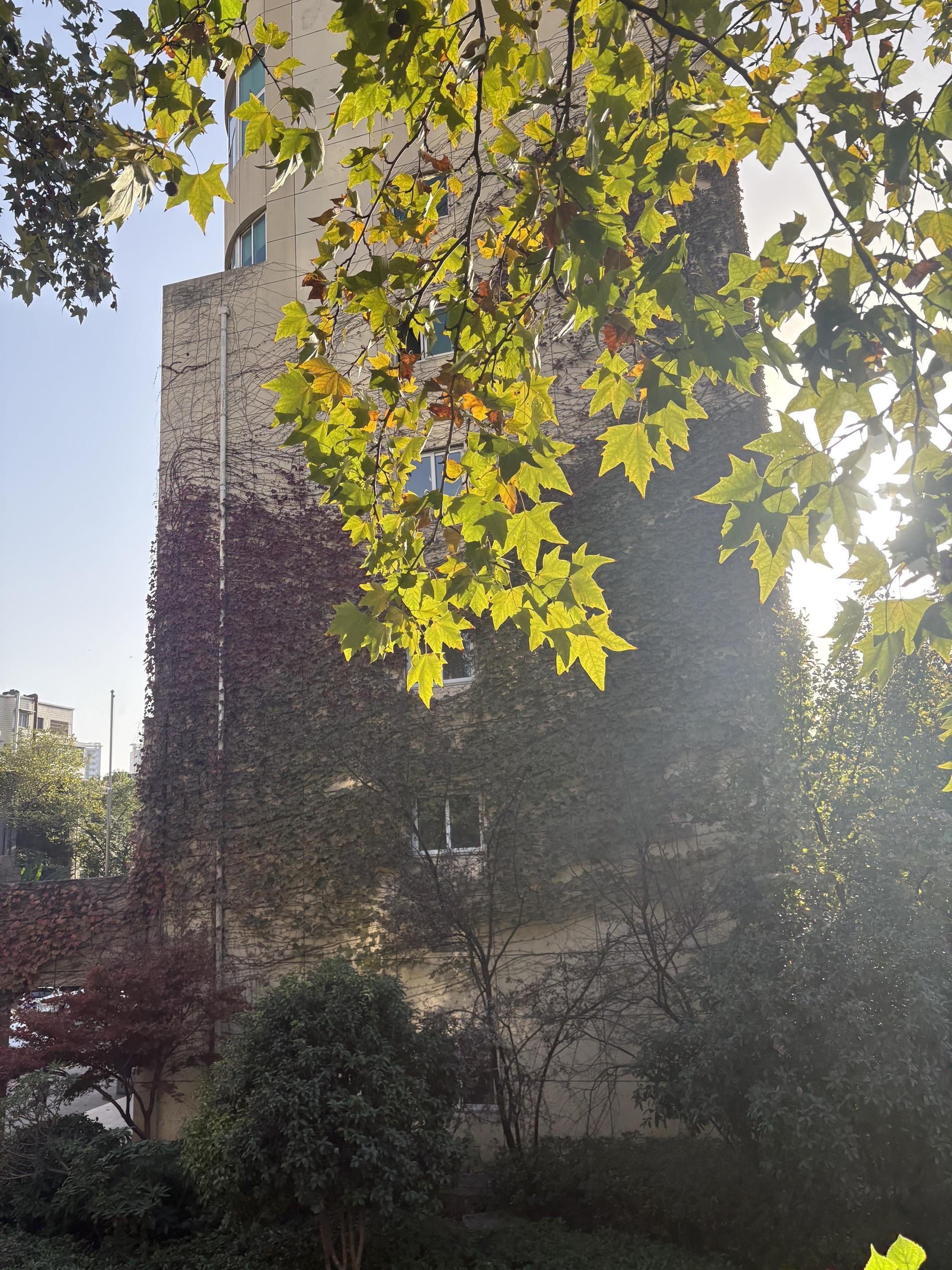 把你随手拍的照片配上这个音乐。