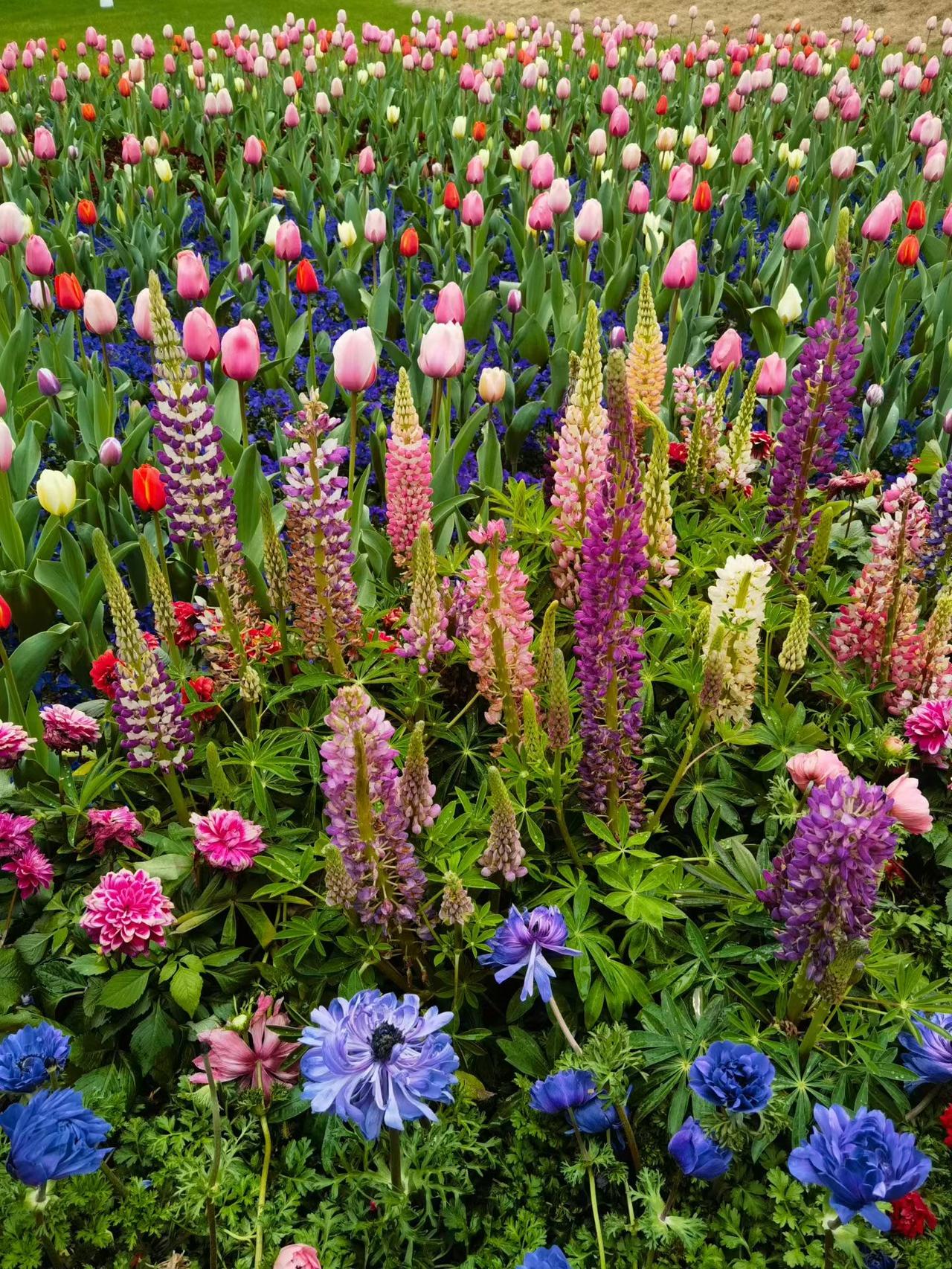 首个春假，4月1号到4月3号放3天假，连接清明节，一共放六天，学校还不布置作业，