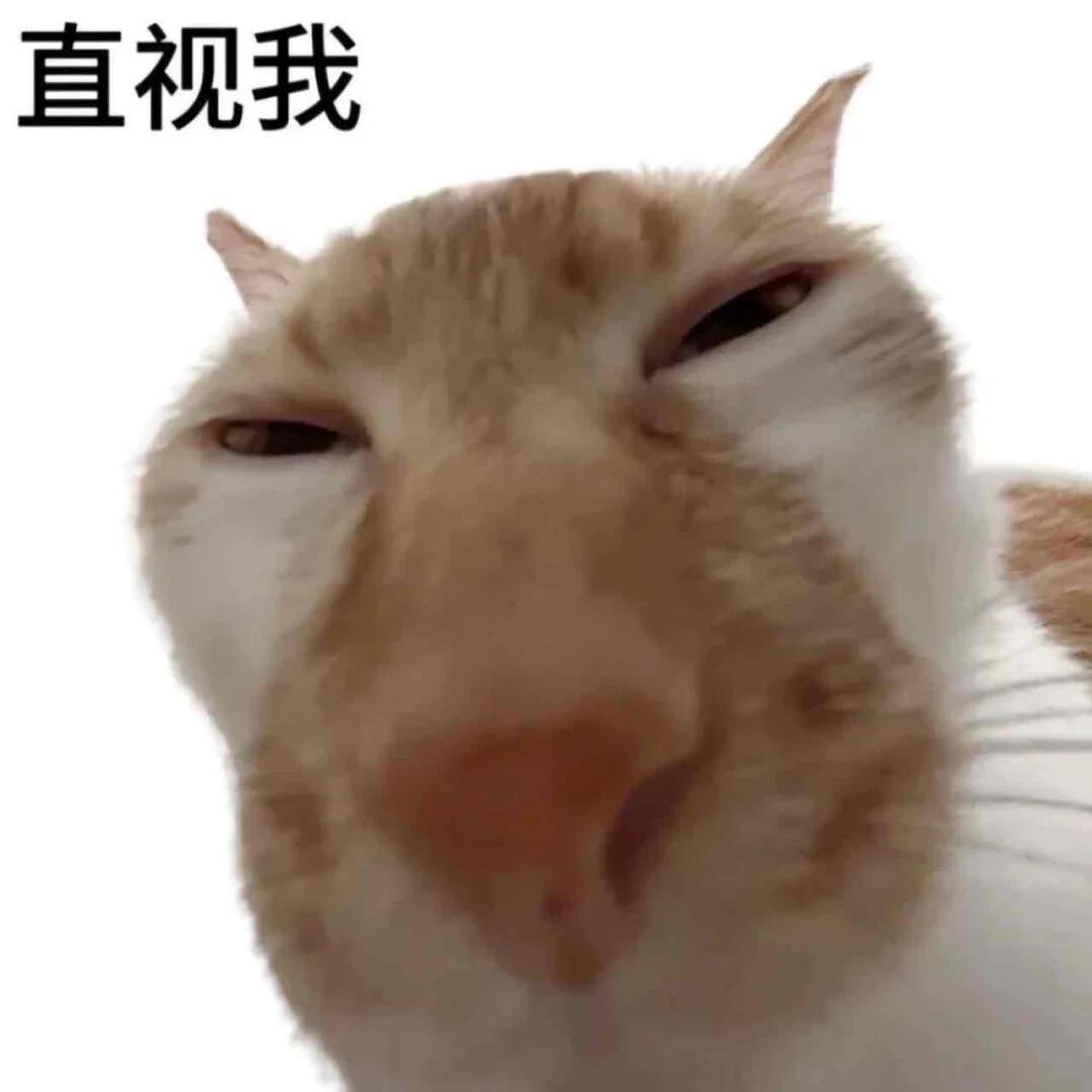 教育局回应小学女生遭多名同学霸凌怎么霸凌事件还是层出不穷啊，屡禁不止啊 