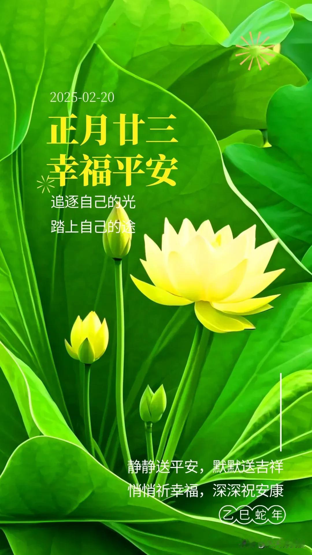 正月廿三，早上好阳光问候：静静送平安，默默送吉祥，悄悄祈幸福，深深祝安康！

做