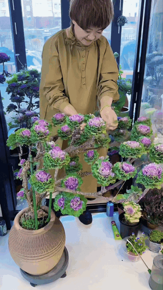 山东一位阿姨火了，一棵羽衣甘蓝养9年，菜一直吃不完，太牛了！

这不就是我们，在