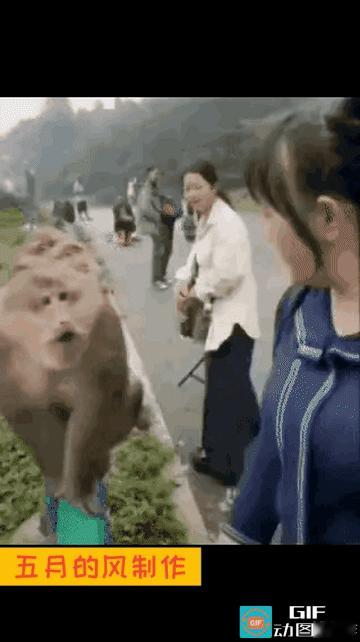 公猴（一把攥住美女的手，吧唧亲了一口）：哎哟喂，这小手嫩得跟水豆腐似的，仙女姐姐