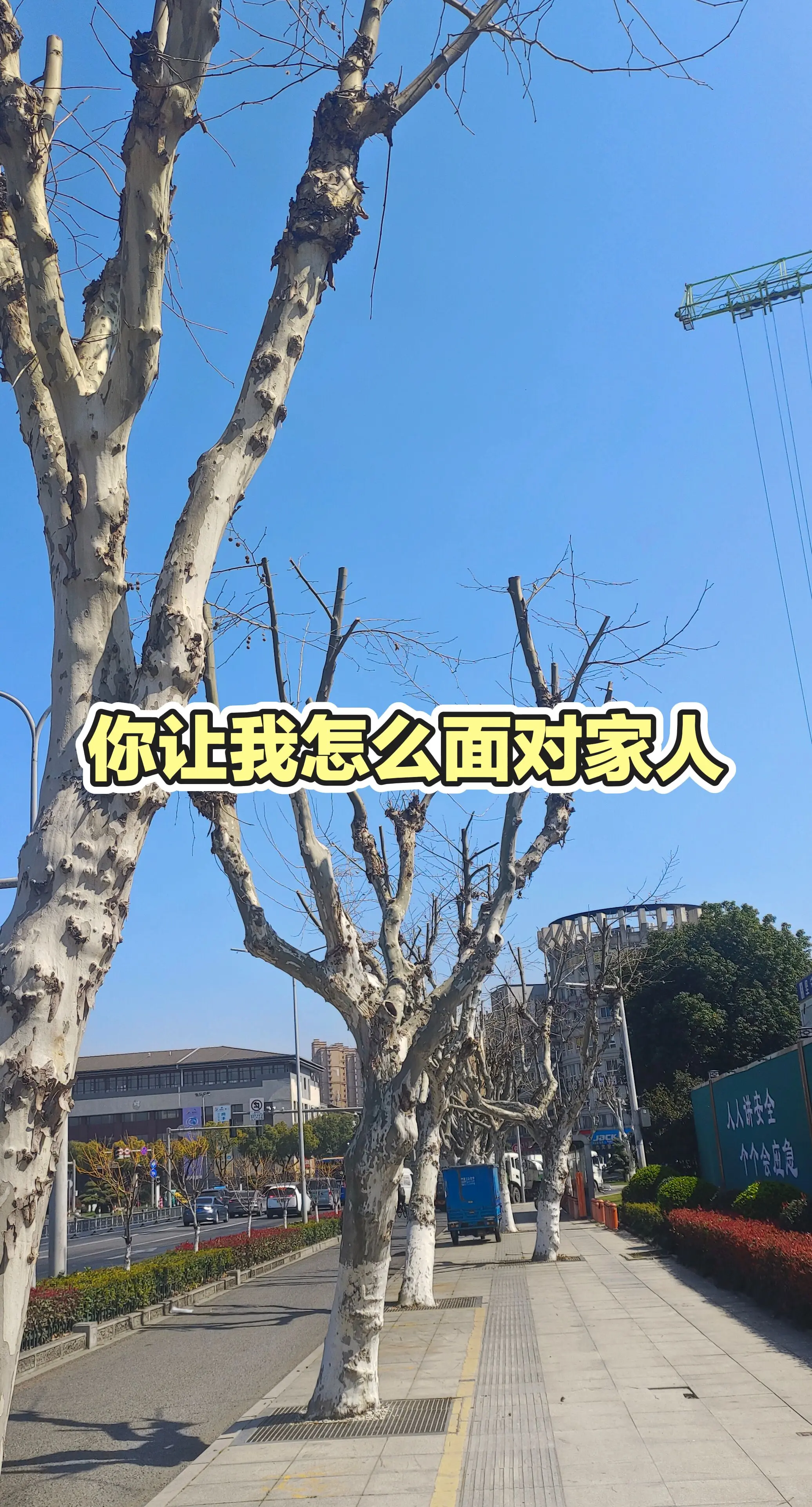 分享有趣的视频