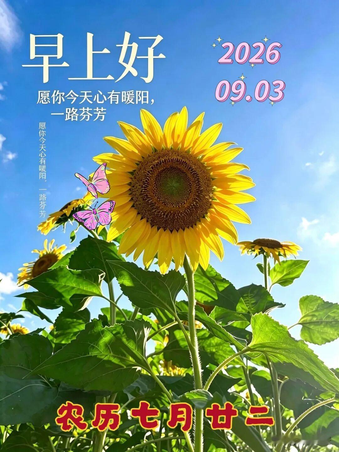 你平常喜欢看AI短剧吗没啥事也看AI短剧，打发时间，放松心情，有的比真人演的有意