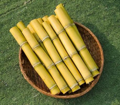 青甘蔗被关注！调查发现：脑梗患者吃青甘蔗，不过多久或有5益处

一说到甘蔗，大多