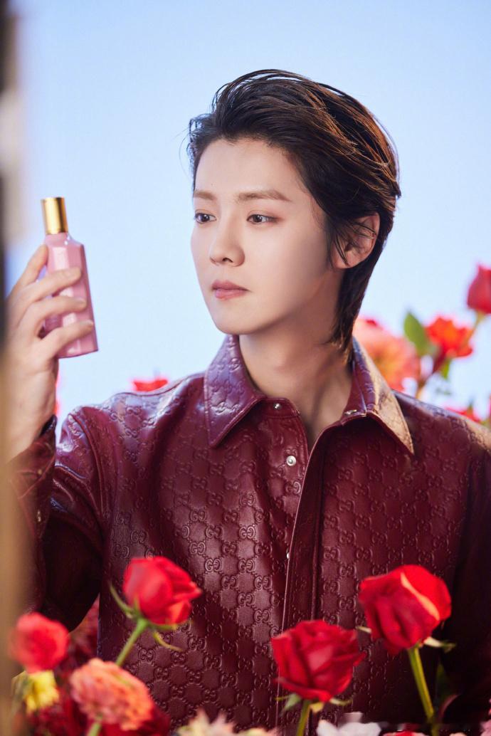 #鹿晗工作室发了花海中的鹿晗##鹿晗红色皮衣好A# 鹿晗在花海中的每一个瞬间都如