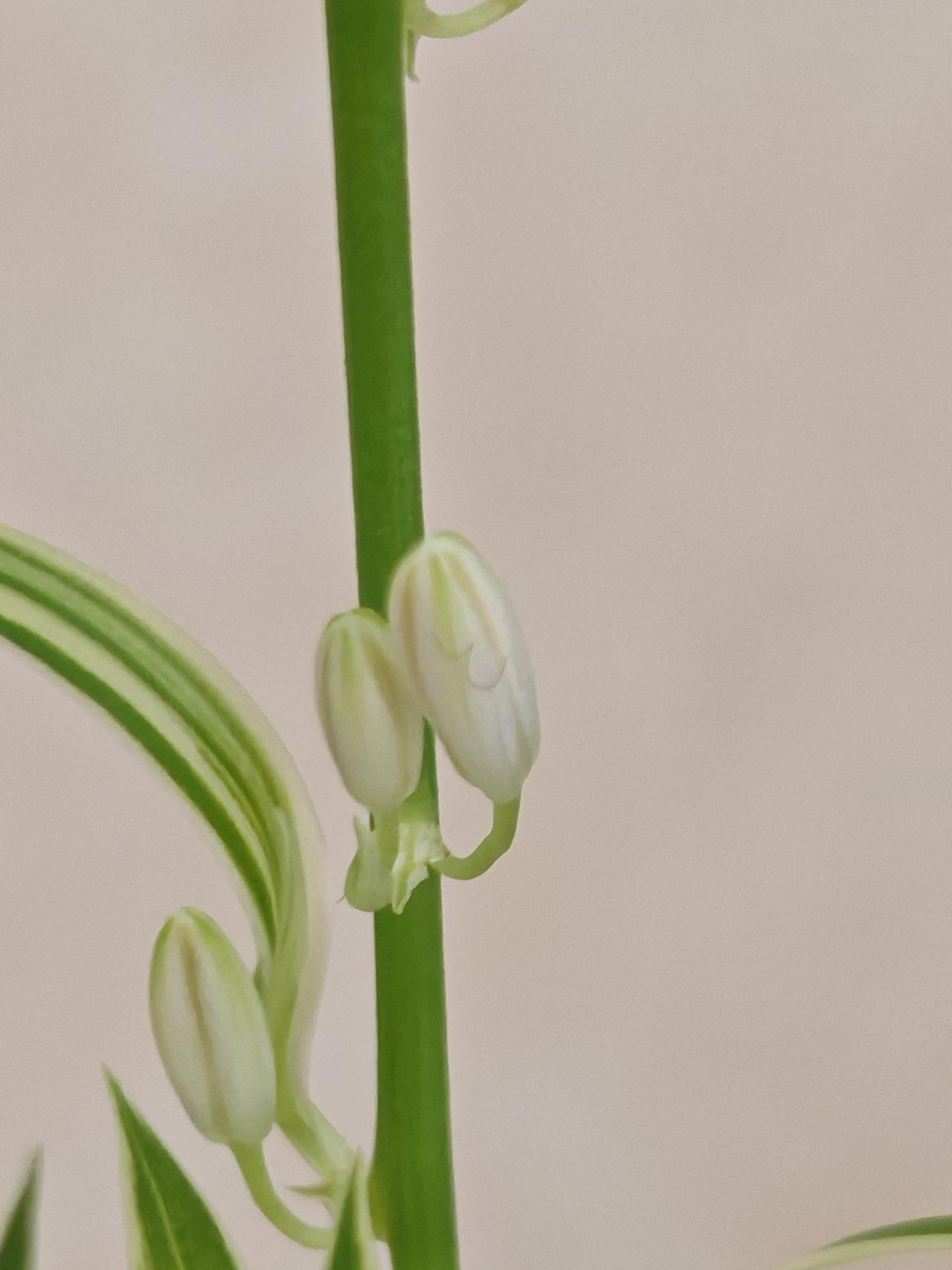 与痛风斗争的历程98
 
   早上起床，天气晴朗，浑身各个关节都比较顺畅，没有