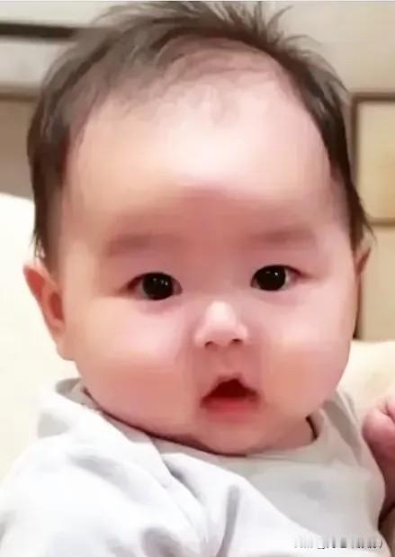 北京汪宝儿百日宴紧锣密鼓筹办，兰姐张罗各地亲友相聚，热闹非凡；身在台北的玥儿、箖