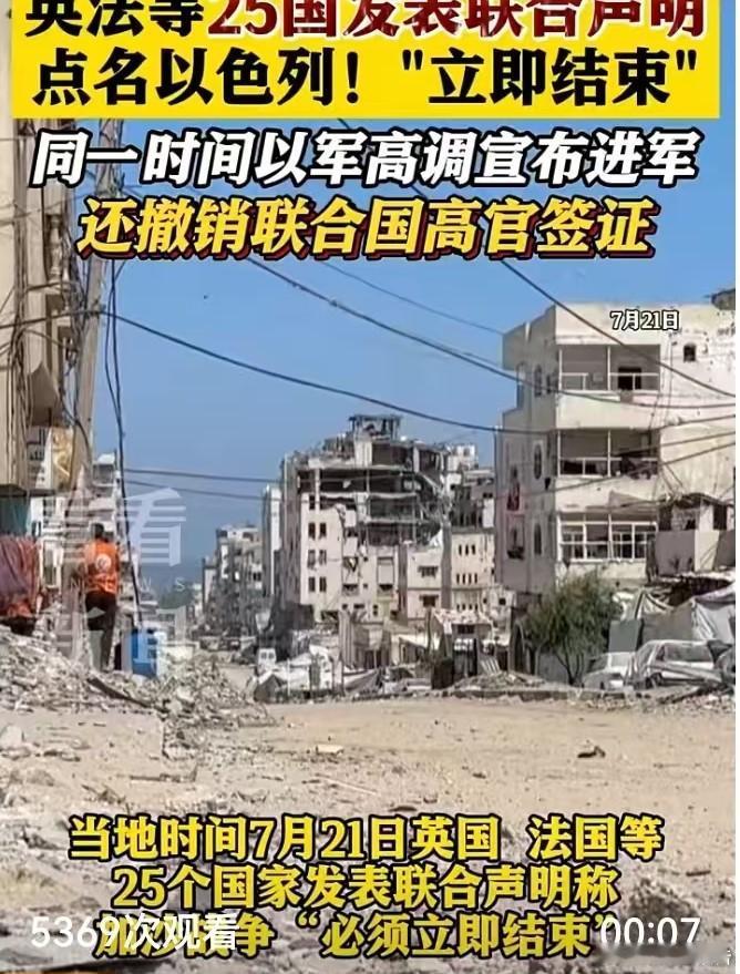 英法等25国发表联合声明英法等25国呼吁立即结束加沙战争俄乌战争呢？典型的双标！