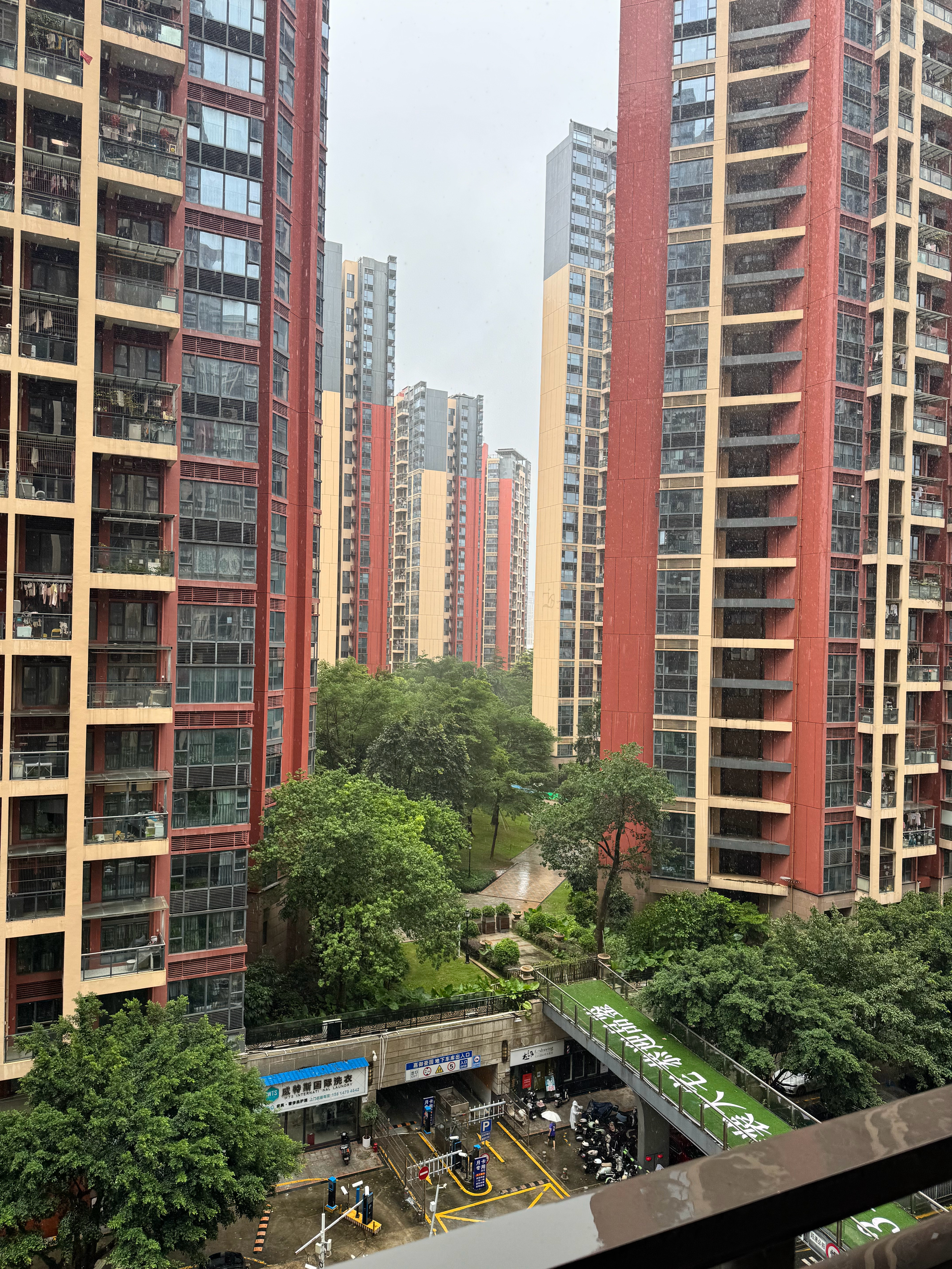 求一张图，谁有拍到红月亮的图，昨晚深圳一直下雨，啥也没有拍到月全食血月 ​​​
