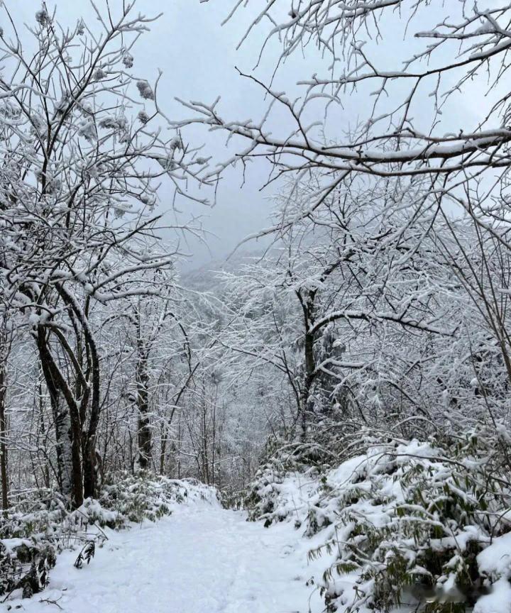 成都周边看雪的天花板找到了！！！

南方人限定的快乐这不就来了嘛！！

-

