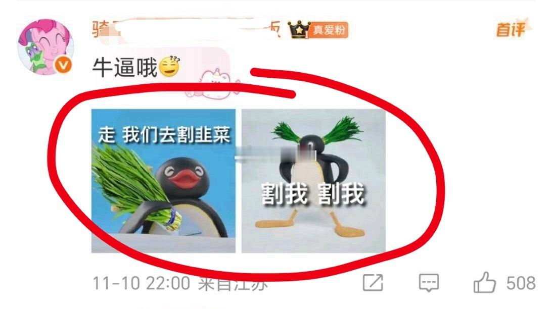 鱼丝喜欢说别人割，结果说着说着真的就如愿了你们懂不懂那种不需要讨厌的人下手，她们