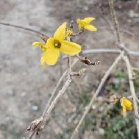 我的今日状态：💰期待暴富
我这里的天气：🌈雨过天晴