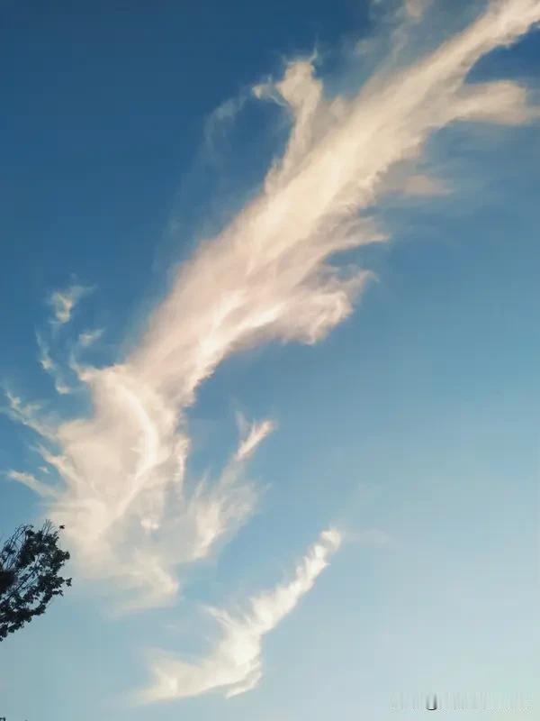 看到“龙腾四海祥云起”这个上联，瞬间感觉气势磅礴。龙在中国文化里可是祥瑞、权威的