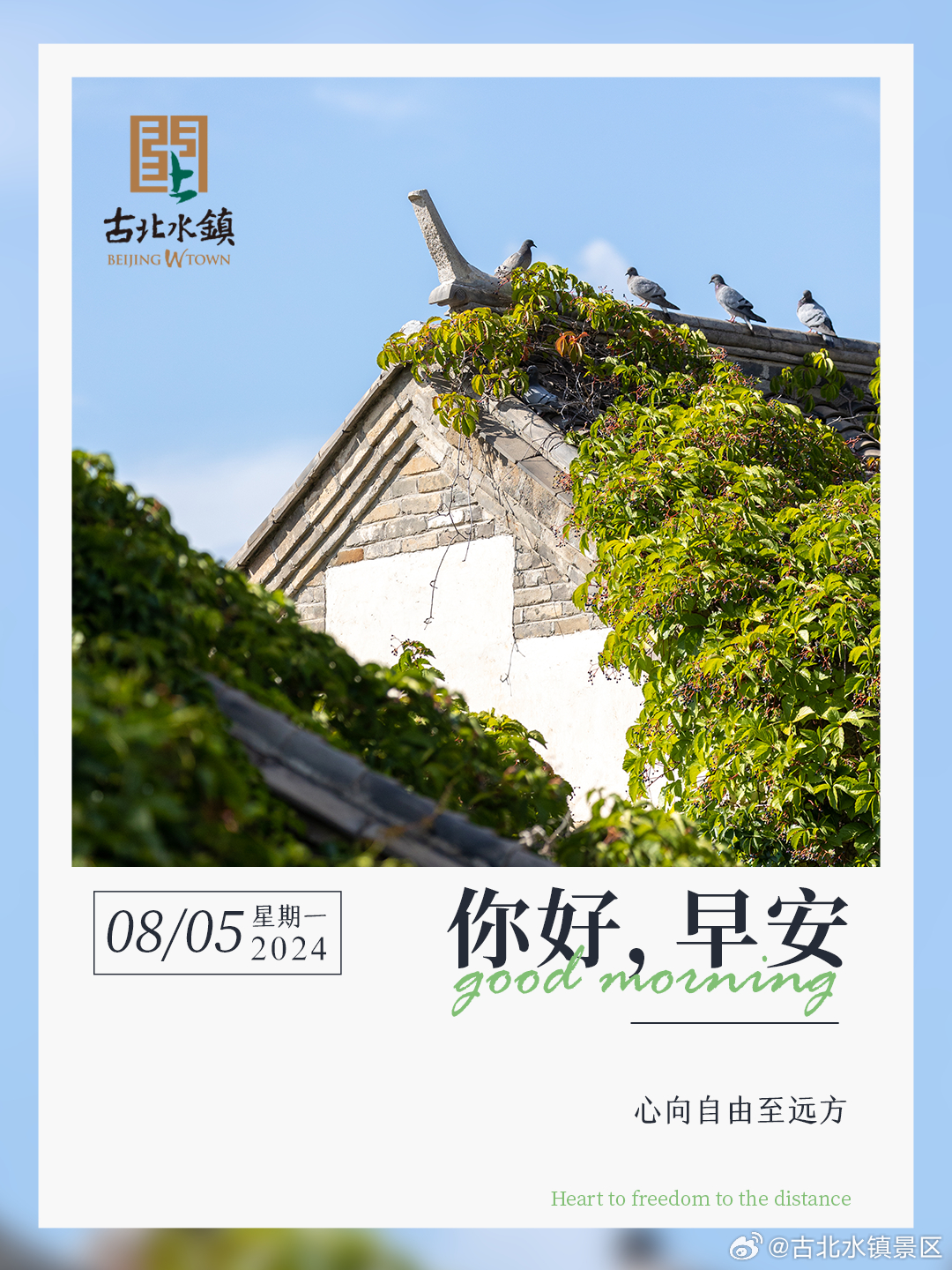 心向自由至远方早安，宝子们~#长城下的星空小镇# #很高兴在古北水镇认识你# #