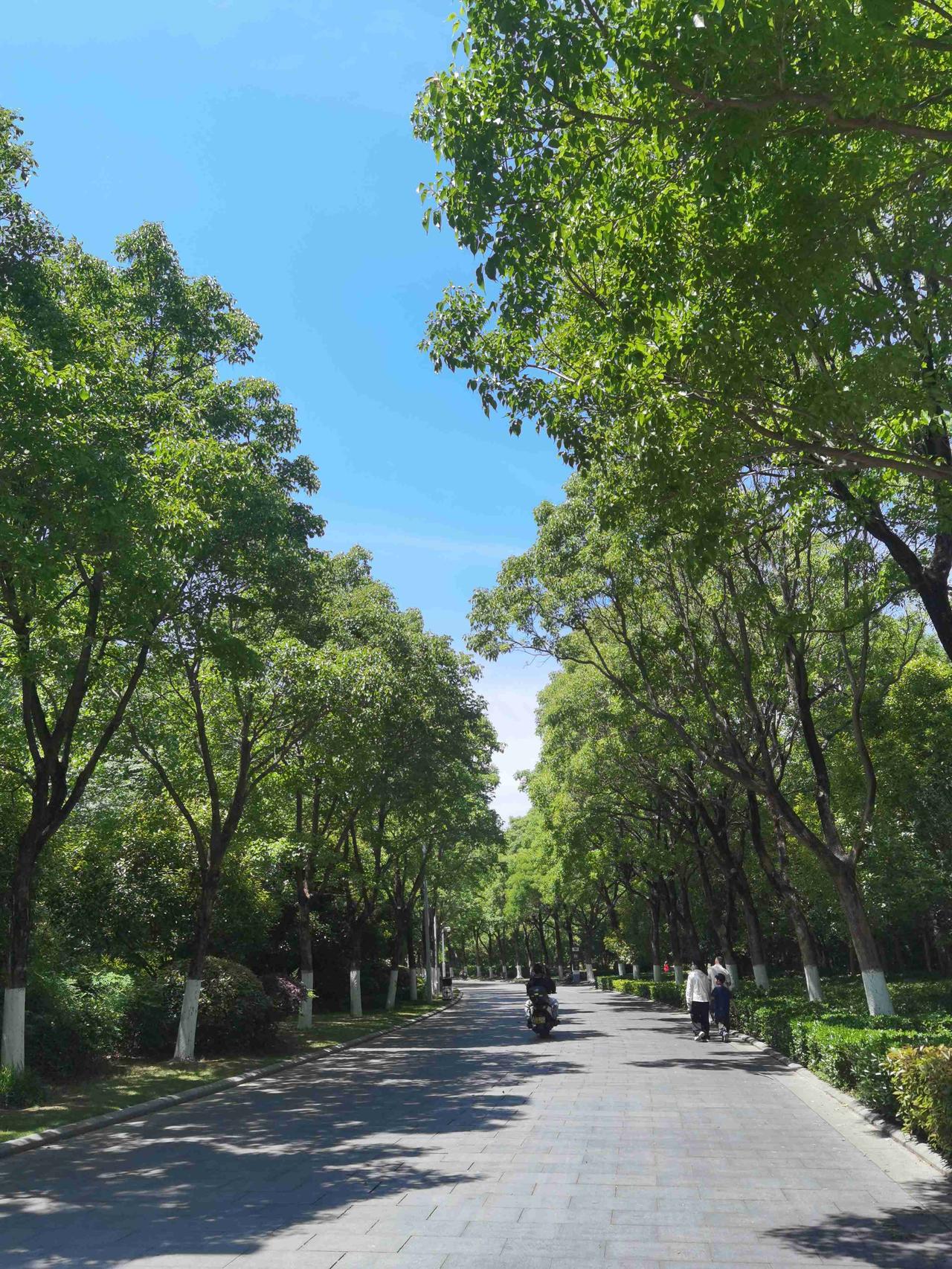 我的今日状态：💰期待暴富
我这里的天气：🌤️多云
今天是2026年5月27日