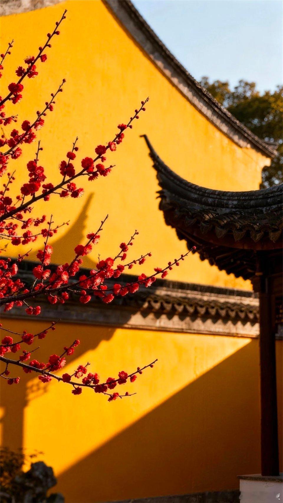 不愧是东方美学！美到沉浸 