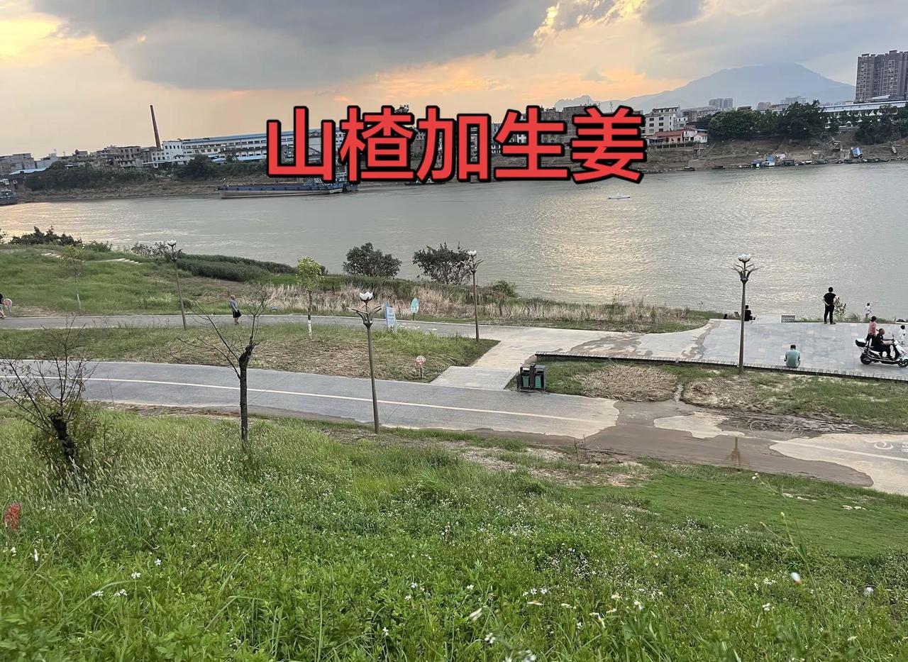太有实力啦！国乒男团3:0横扫日本队夺得伦敦世乒赛团体冠军，12连贯农村特产 乒